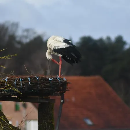 Apartment Storchennest Bad Rothenfelde