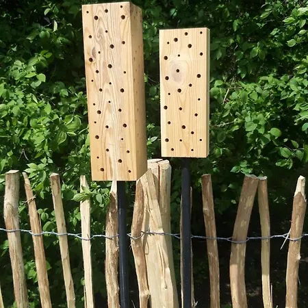 Storchennest *